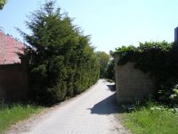 58-0 Belvárosi temető udvar